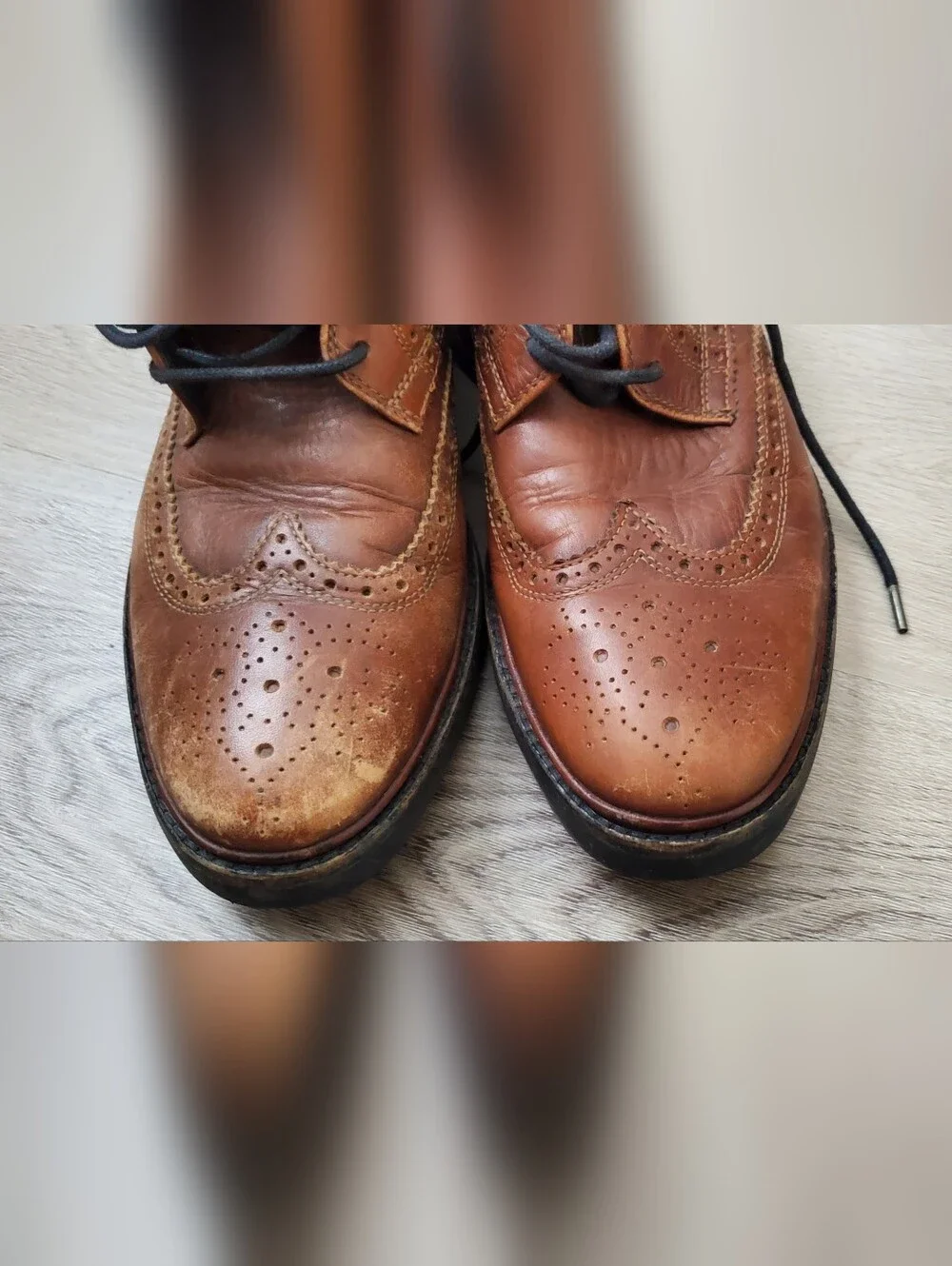 Coach New York Brown Bryant Wingtip Loafer Dress Shoes Oxford Men's US Size 9D